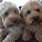 Gail Garner - @gail.garner.9250 - Instagram