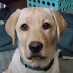 Gail Garner - @gail.garner.180 - Instagram