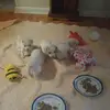 Gail Garner - @gail.garner - TikTok