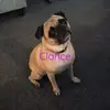 Gail Garner - @gail.garner0 - TikTok