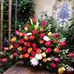 Gail Garrett - Facebook
