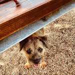 Gail Gee - @twinnyg1 - Instagram