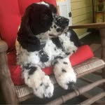 Gail Ginsberg Kohler - @gdgk - Instagram