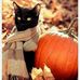 Gail Gladden - Facebook