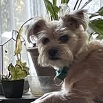 Gail Glass - @gglass56 - Instagram