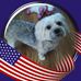 Gail Glass - Facebook
