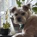 Gail Glass - Facebook