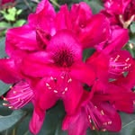 Gail Glassbrenner - @gailglassbrenner - Instagram