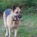 Gail Goble - Facebook