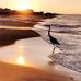 Gail Goss - Facebook