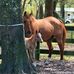 Gail Gosselin - Facebook