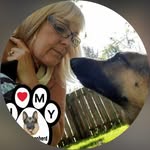 Gail Gregory Peterson - @gailgregorypeterson - Instagram