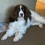 Gail Farnum Griggs - @gail.f.griggs - Instagram