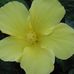 Gail Griggs - Facebook