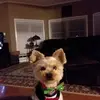 Gail Griggs - @gail.griggs - TikTok