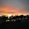 Gail Griggs - @gail.griggs3 - TikTok