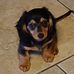 Gail Guidry - Facebook