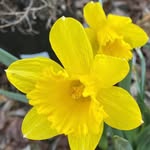 Gail Hadley-Goggin - @gail_hg - Instagram