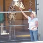 Gail Gilliland Haggerty - @gailcalif - Instagram