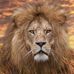 Gail Griffin Hallman - Facebook