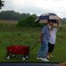 Gayle Hallman - Facebook
