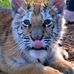 Gail Hamel - Facebook