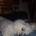 Gail Hamel - Facebook