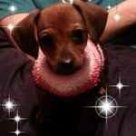 Harley Gail - @harley.gail.7 - Instagram