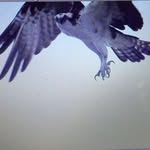Gail Harrell - @gail.harrell.353 - Instagram
