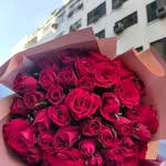 Gail Harry - @uswzs52869 - Instagram