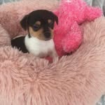 Gail Harry - @gail.stanley.73 - Instagram