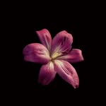 Abagail Haskell - @abagail616haskell - Instagram