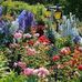 Gail Havens Bienstock - Facebook