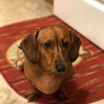 Gail Haynes - @g.haynes40 - Instagram