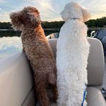 Gail Haynes - @haynesg_g46 - Instagram