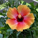 Gail Healey - @gmhealey - Instagram