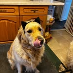 Gail Healey - @gail.healey3 - Instagram