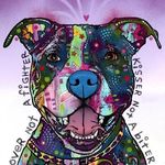 Gail Heard - @gailheard - Instagram