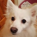 Gail Mortell Hearne - @gailmortellhearne - Instagram