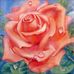 Gail Henner - Facebook
