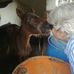 Gail Hennings - Facebook