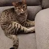 Gail Hernandez - @gail.hernandez17 - TikTok
