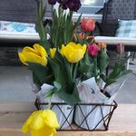 Gail Sipsma Herrmann - @gailsipsma - Instagram