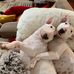 Gail R Herstein - Facebook