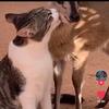 Gail Hight - @gailhight9953 - TikTok
