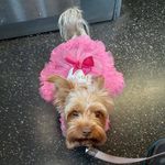 Gail Hines - @gailhines - Instagram