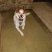 Gayle Hinkle - Facebook