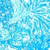 Abigail Holcomb - @abigail.holcomb - TikTok
