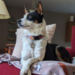 Gail Holcomb Barten - @gailbarten - Instagram