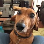 Gail Holder - Facebook
